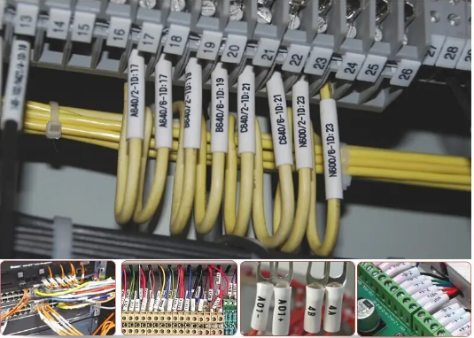 QQ圖片20220317150049.png QQ圖片20220317150049.png